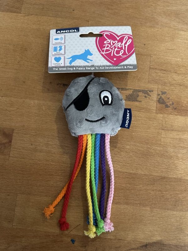 Cat Cloud Toy