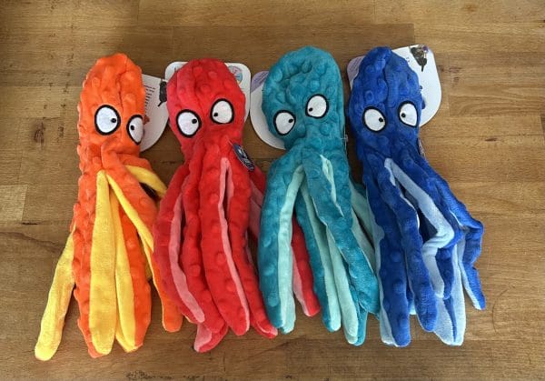 No Stuffing Octopus