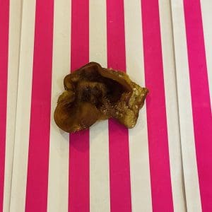 Pig Inner Ear