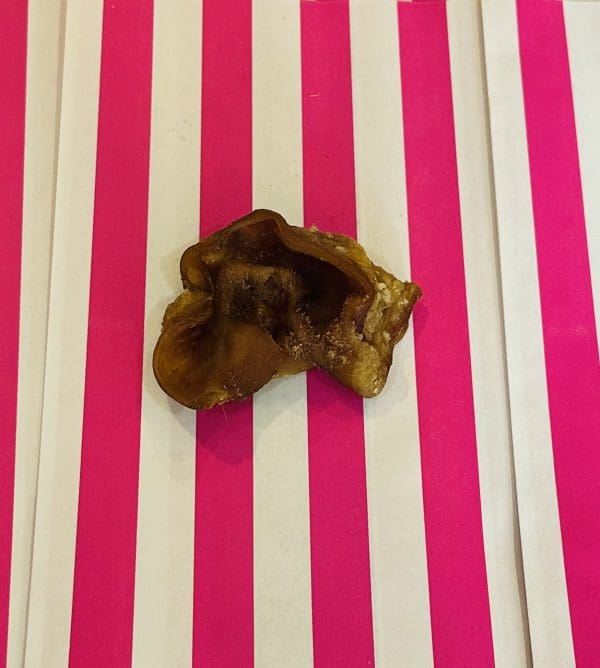 Pig Inner Ear